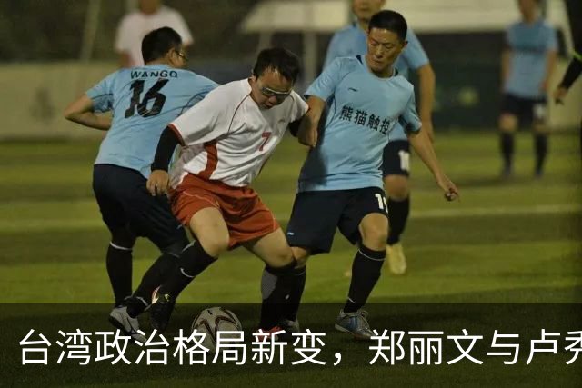 台湾政治格局新变，郑丽文与卢秀燕的对决引发路线争论